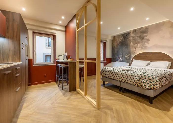 3 De Gamme Immeuble Chic Centre Апартаменты Клермон-Ферран